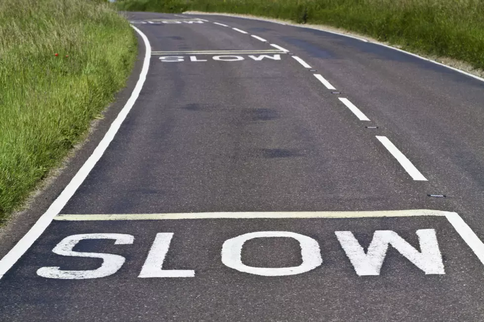 In the Fast Lane: States with the Most Speeding Tickets